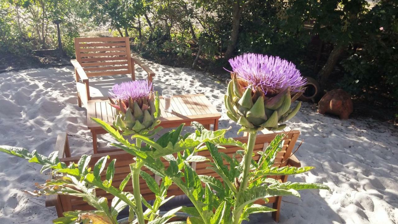 Lège-Cap-Ferret Le Relais De La Praya B&B 외부 사진