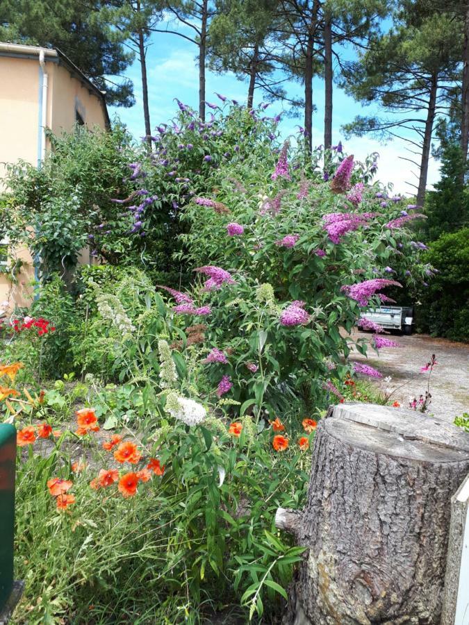 Lège-Cap-Ferret Le Relais De La Praya B&B 외부 사진